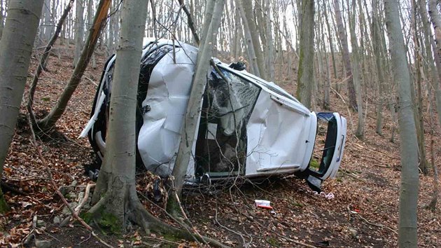 Mu zapomnl na lesn cest zajistit svou kodu proti pohybu, auto se tak ztilo ze srzu a zastavilo a o strom.