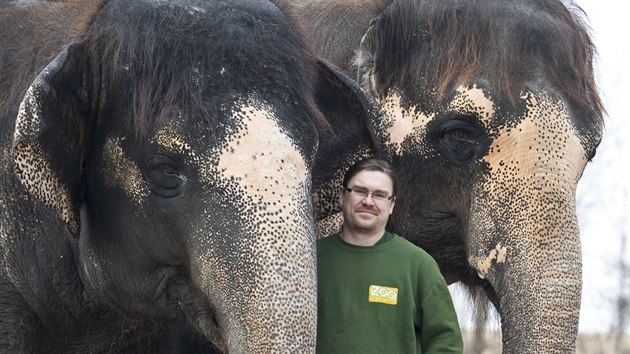Ošetřovatel Petr Kiebel se slonicemi Dehli a Kalou ve výběhu ústecké zoo v prosinci 2012