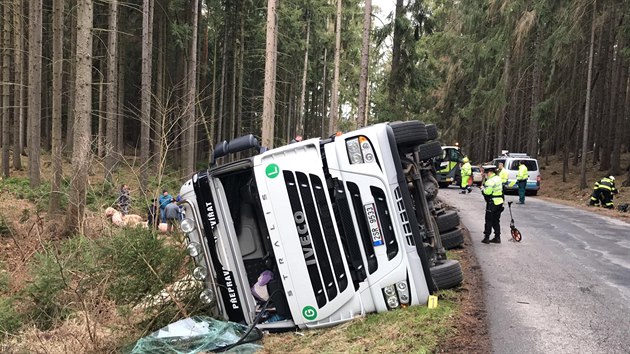 U obce Trhov tpnov v okrese Beneov se pevrtil kamion s prasaty. (18.3.2019)