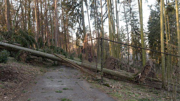 Siln vtr poniil v noci na pondl 11. bezna 2019 arel olomouck zoologick zahrady. Nkter sti zstaly zcela odznut, zahrada proto byla pro nvtvnky doasn uzavena.