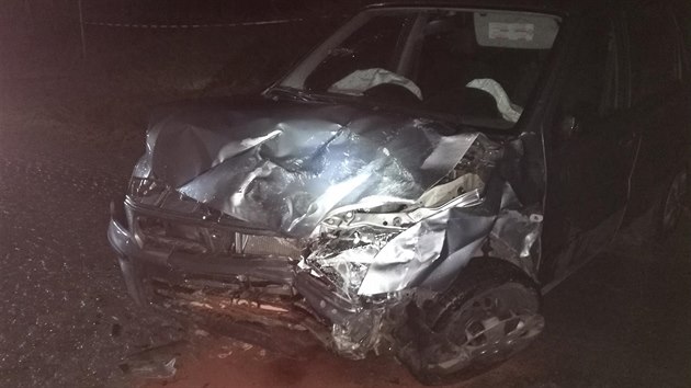 Pi dopravn nehod dvou aut v obci Ohniov na Rychnovsku zemel v sobotu veer sedmnctilet spolujezdec.