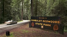 Jedním z mála turistických míst v okrese je Státní park Humboldt Redwoods s...