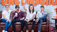 Kolik pen�z si vyd�lali kluci z One Direction?