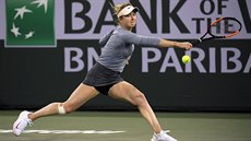 Elina Svitolinová v semifinále turnaje v Indian Wells.
