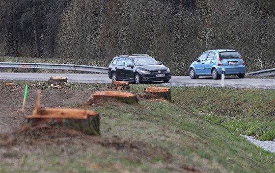 Jedním z vedlejích efekt krovcové kalamity bude moná vyí bezpenost na...