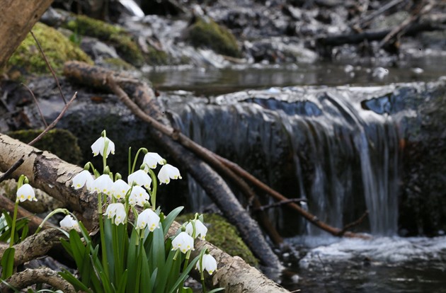 Počasí v březnu bude nadprůměrné. Meteorologové zveřejnili první prognózu