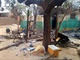 V Mali bhem etnicky motivovanho masakru bylo zavradno pes sto pslunk...