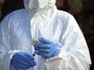 Kongo se potýká s další epidemií eboly.