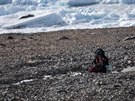 Vdkyn sbírá vzorky na antarktickém ostrov Horseshoe.