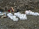Vdci Masarykovy univerzity pipravují odpad na odvoz z Nelsonova ostrova v...