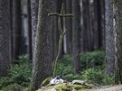 Dnes místo vraždy Anežky Hrůzové na okraji lesa Březina připomíná malá cedulka...