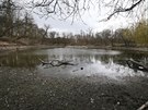 Kv�li revitalizaci je mal� rybn�k v Z�meck� zahrad� v Teplic�ch u� t�m�� p�l...