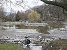 Kv�li revitalizaci je mal� rybn�k v Z�meck� zahrad� v Teplic�ch u� t�m�� p�l...