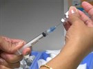 Okovací centra v New Yorku nabzí pi epidemii spalniek vakcinaci zdarma