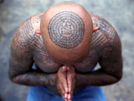 MODLITBA. V Thajsku lidé na tetovacím festivalu v klášteře Wat Bang Phra věří,...
