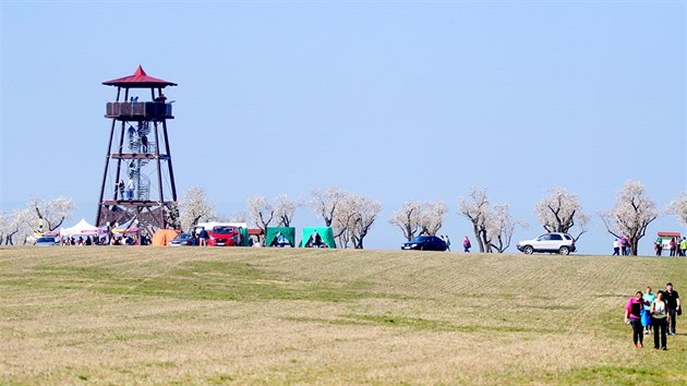 Slavnosti mandlon v Hustopech (23. 3. 2019)