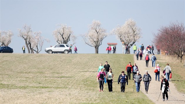 Slavnosti mandlon v Hustopech (23. 3. 2019)