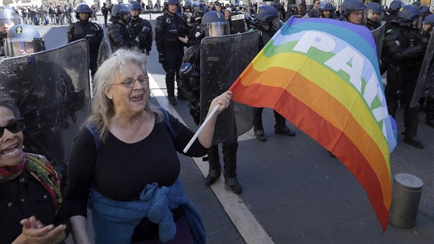 Aktivistka Genevieve Legayov demonstruje ped polici bhem protest v Nice. astnila se 19. pochodu lutch vest. Francouzsk ady ji vyetuje, kdo za incident, kvli ktermu Lagayov skonila v nemocnici s tkm porannm lebky, me. (23. bezna 2019)