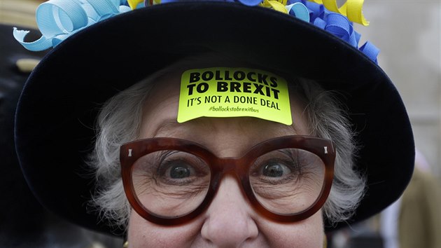 Odprci brexitu pochodovali Londnem za poadavek druhho referenda o lenstv v EU (23.3.2019)