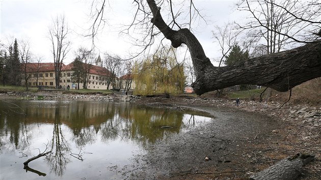 Kvli revitalizaci je mal rybnk v Zmeck zahrad v Teplicch u tm pl roku bez vody, radnice jeho vypoutn zahjila v jnu.