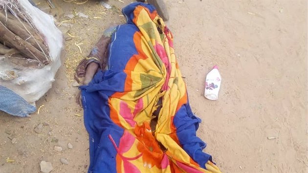 V Mali bhem etnicky motivovanho masakru bylo zavradno pes sto pslunk pasteveckho nroda Fulb. (24. bezna 2019)