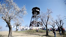 Slavnosti mandloní v Hustope�ích (23. 3. 2019)