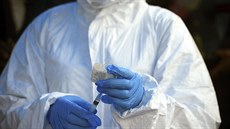 Zdravotnití pracovníci nosí kvli pandemii ochranné plát.