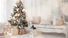 Vánoní tradice z celého svta