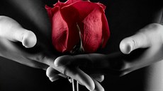 Pro� máte menstruaci hor�í ne� ostatní?
