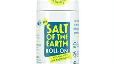 Deodorant v kulice CRYSTAL SPRING, Salt of the Earth, GreenWave, 169 K