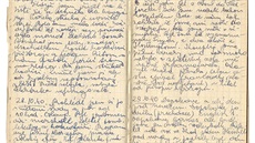 Ukázka z deník Vojtcha Formánka.