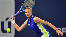 Karolína Plíšková v semifinále turnaje v Miami.