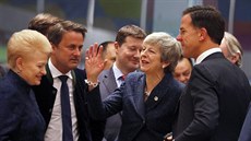 Britská premiérka Theresa Mayová na summitu EU v Bruselu (21. bezna 2019)