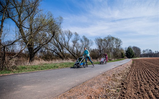 Asfaltku od Hradce Králové do Vysoké vyuívají u tisíce brusla i cyklist...