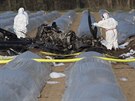 Experti a technici zkoumají trosky letadla, které se zítilo nedaleko nmeckého...