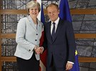 Britská premiérka Theresa Mayová a pedseda Evropské rady Donald Tusk (24....