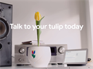 Víme, e tulipány spolu komunikují. Google nám nyní umouje porozumt, o em...