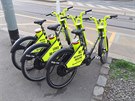 Stanovi�t� kol Freebike pobl� tramvajov� zast�vky Orionka. (2. 4. 2019)