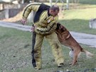 Ukzka vcviku ps z vznice Bytz v rmci projektu Ochrana obyvatelstva pi...