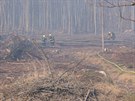 Hasii zasahovali u rozsáhlého poáru lesa na Bruntálsku. (1. dubna 2019)