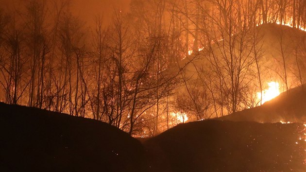 Plameny poru, kter vypukl v horch nedaleko Kosongu v Jin Koreji. (4. dubna 2019)