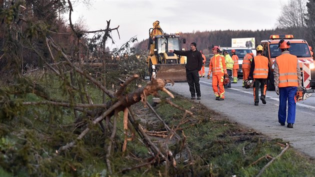 Silničáři 5. dubna 2019 brzy ráno z dálnice D1 nedaleko Řehořova na Jihlavsku odklízeli stromy, které polámal nebo vyvracel silný vítr. Úsek mezi 119. až 134. kilometrem nejdůležitějšího dálničního tahu v České republice byl uzavřený celou noc.
