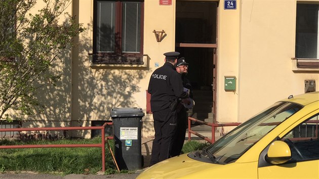 V Praze 6 vypadlo v odpolednch hodinch dt z okna. Okolnosti pdu na mst proetuj policist. (1. dubna 2019)