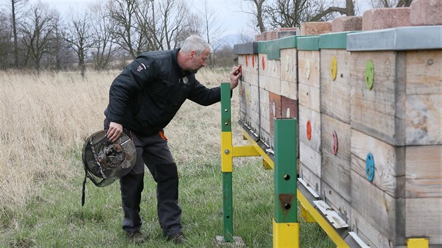 Petr Eminger z Lomu na Mostecku se včelaření věnuje šest let. Je také majitelem včelí farmy.