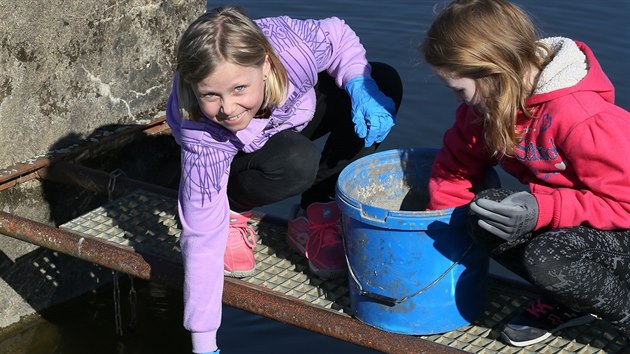 S transferem žab u rybníku v Třebušíně pomáhaly děti ze základní školy ve Velkém Březně.