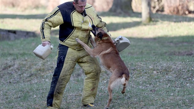 Uk�zka v�cviku ps� z v�znice Byt�z v r�mci projektu Ochrana obyvatelstva p�i mimo��dn�ch ud�lostech 
(2.4.2019)