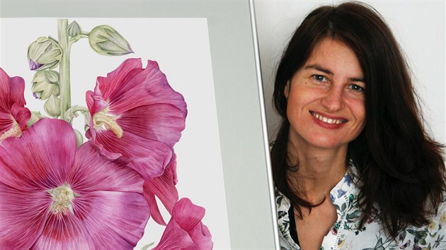 Pavlna Kourkov se vnuje botanickmu umn, vtvarn tvorb a ilustracm.