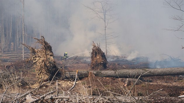 Hasii zasahovali u rozshlho poru lesa na Bruntlsku. (1. dubna 2019)