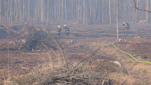 Hasii zasahovali u rozshlho poru lesa na Bruntlsku. (1. dubna 2019)