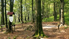 Vojenský cintorín z 1. sv�tové války